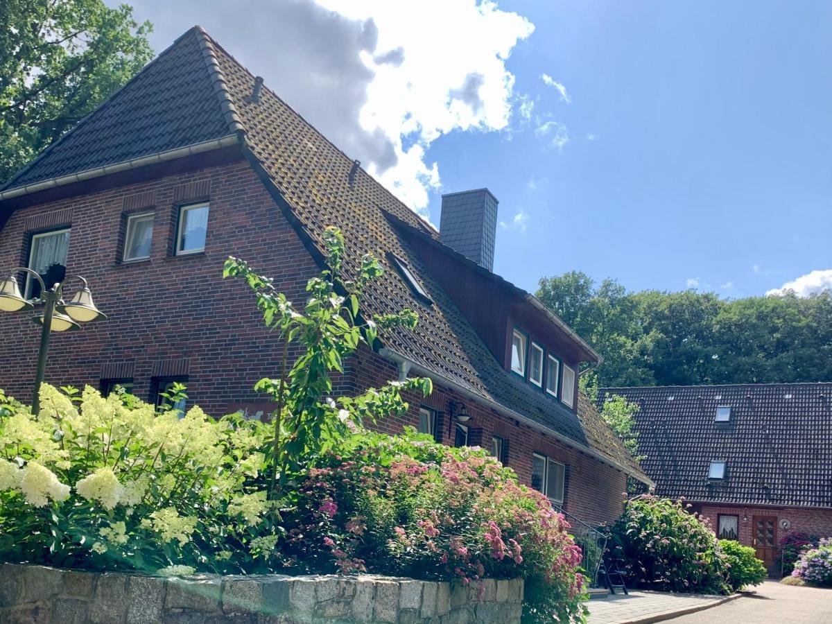 Apartment Hillmer Bispingen Extérieur photo