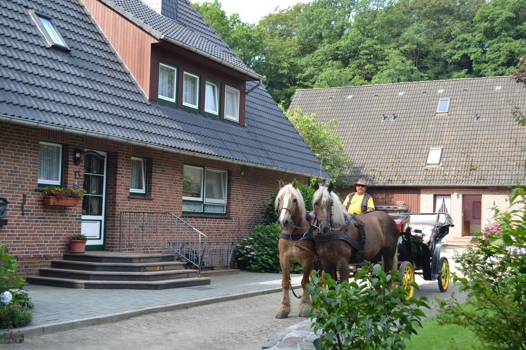 Apartment Hillmer Bispingen Extérieur photo